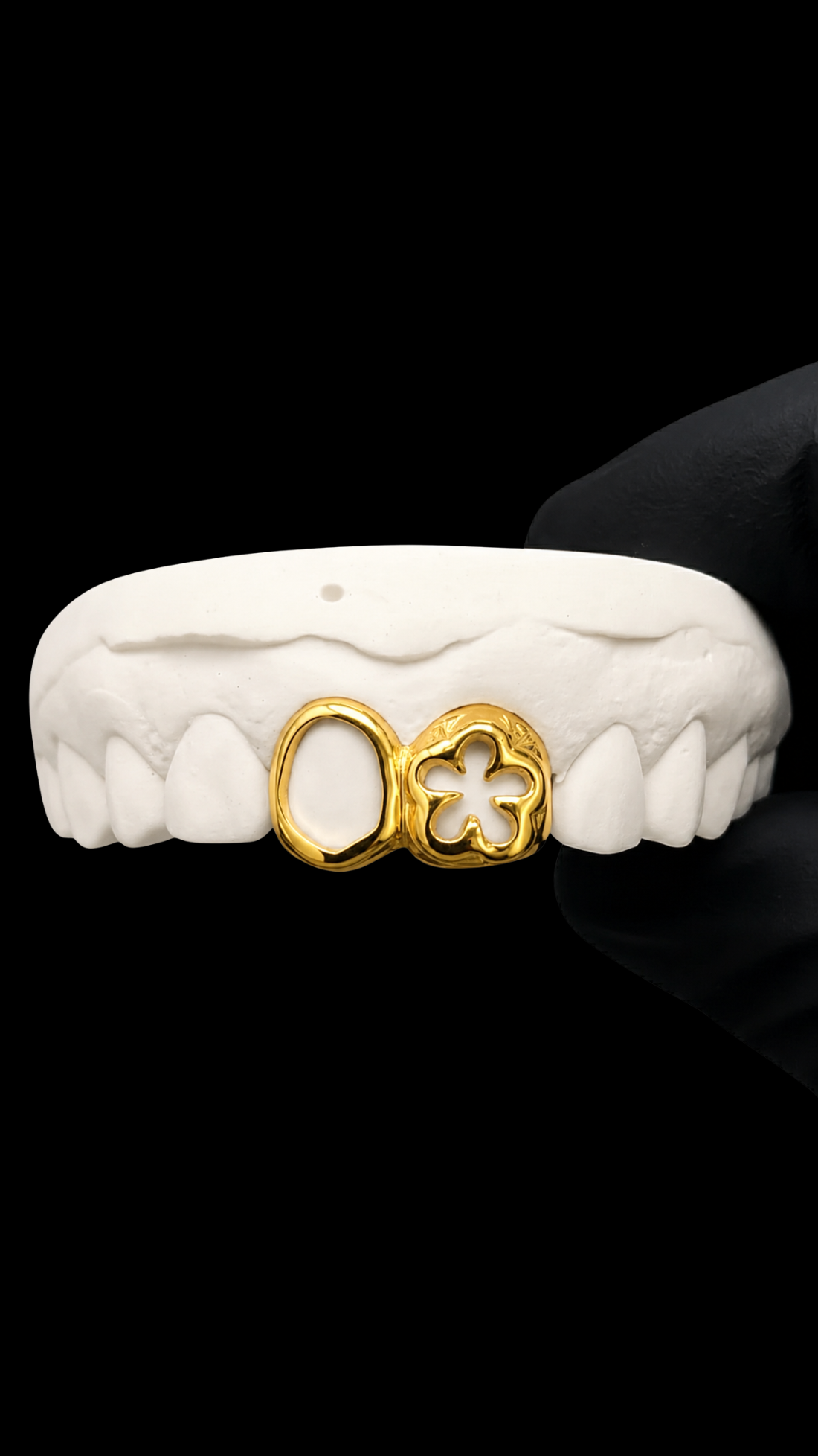 Window & flowers Grillz