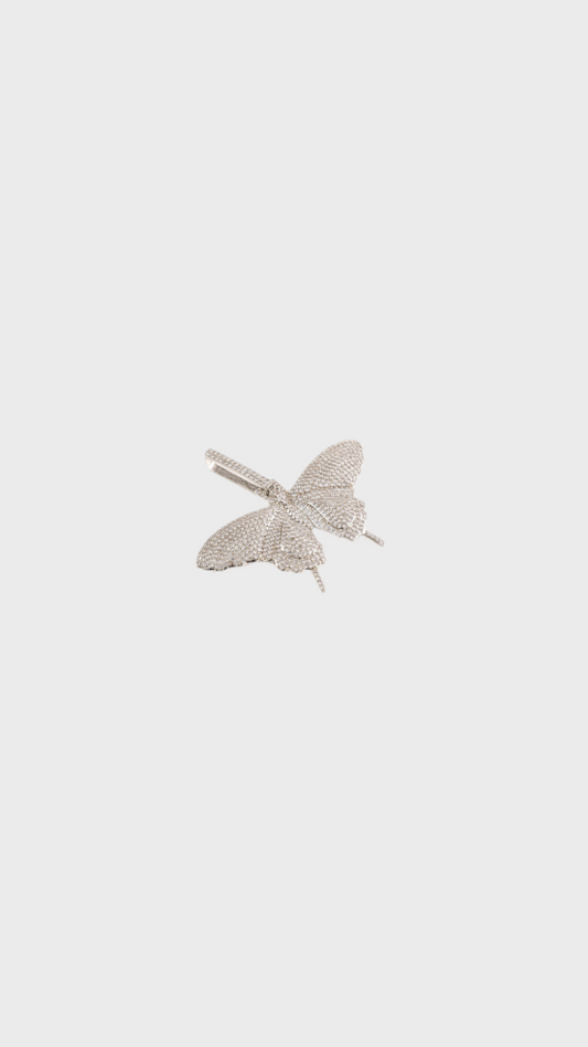 Butterfly effect 