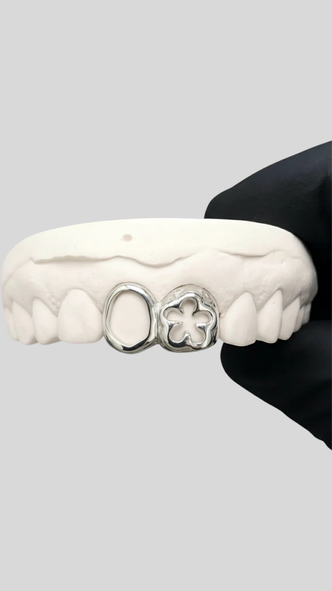 Window & flowers Grillz